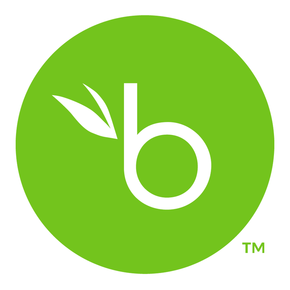 BambooHR logo